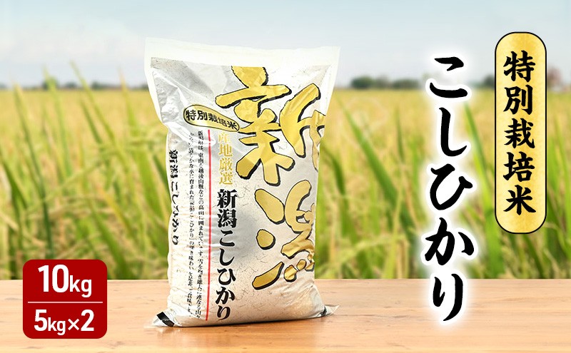 
            新米予約 令和7年 新潟県産コシヒカリ 特別栽培米 10kg 10キロ 5kg×2 上越市 三和区神田 富永農産 有機肥料、自家製たい肥を使用し米つくり 送料無料
          