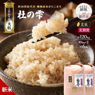 ふるさと納税 能代市 先行予約 新米 定期便6ヶ月 あきたこまち 20kg 計120kg[No.5335-1541]