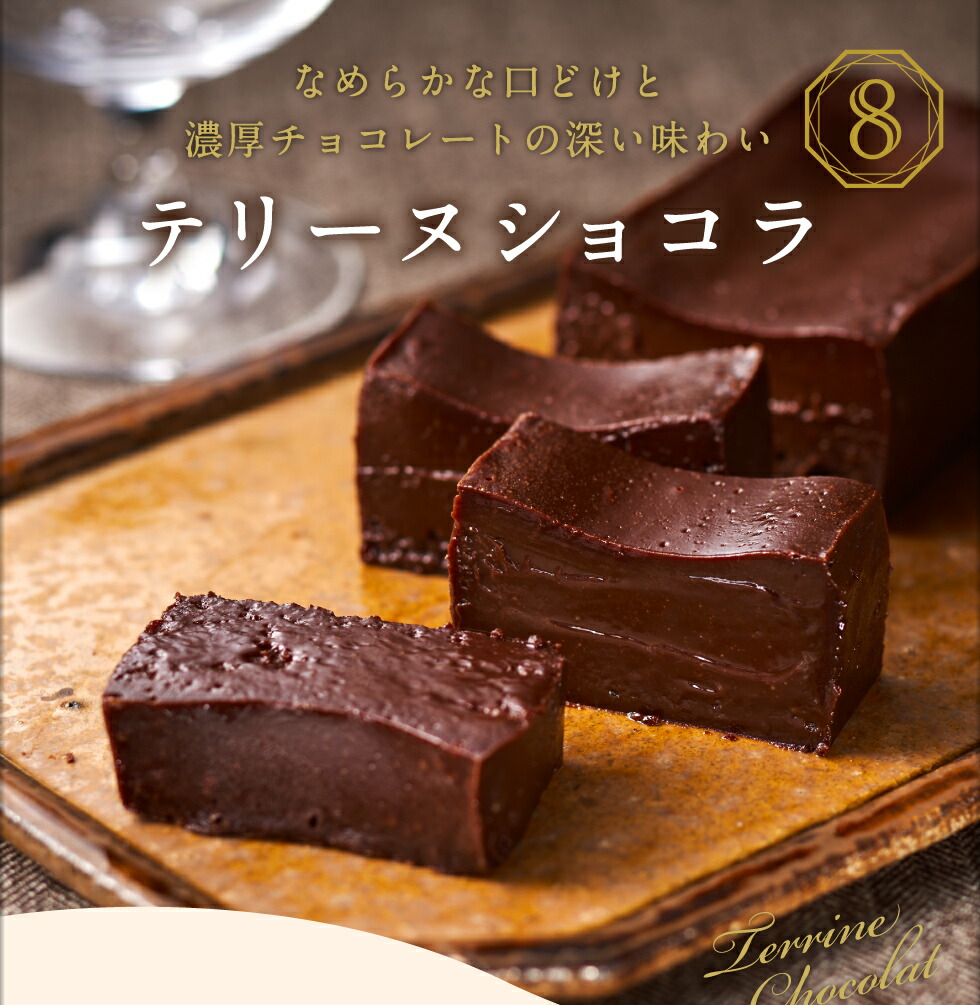 2029 オクタス テリーヌ ショコラ チーズケーキ 2種セット　KN021-029