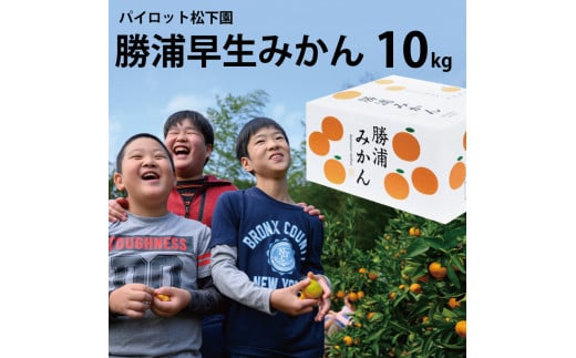 パイロット松下園 勝浦早生みかん SｰLサイズ 秀品 10kg