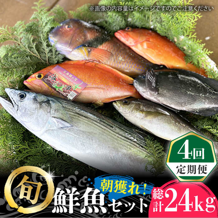 【ふるさと納税】【全4回定期便】【五島列島直送】朝獲れ鮮魚セット6kg 五島市/鯛福丸水産[PDP015] 魚 鮮魚 セット 海鮮 直送 さかな 詰合せ 冷蔵