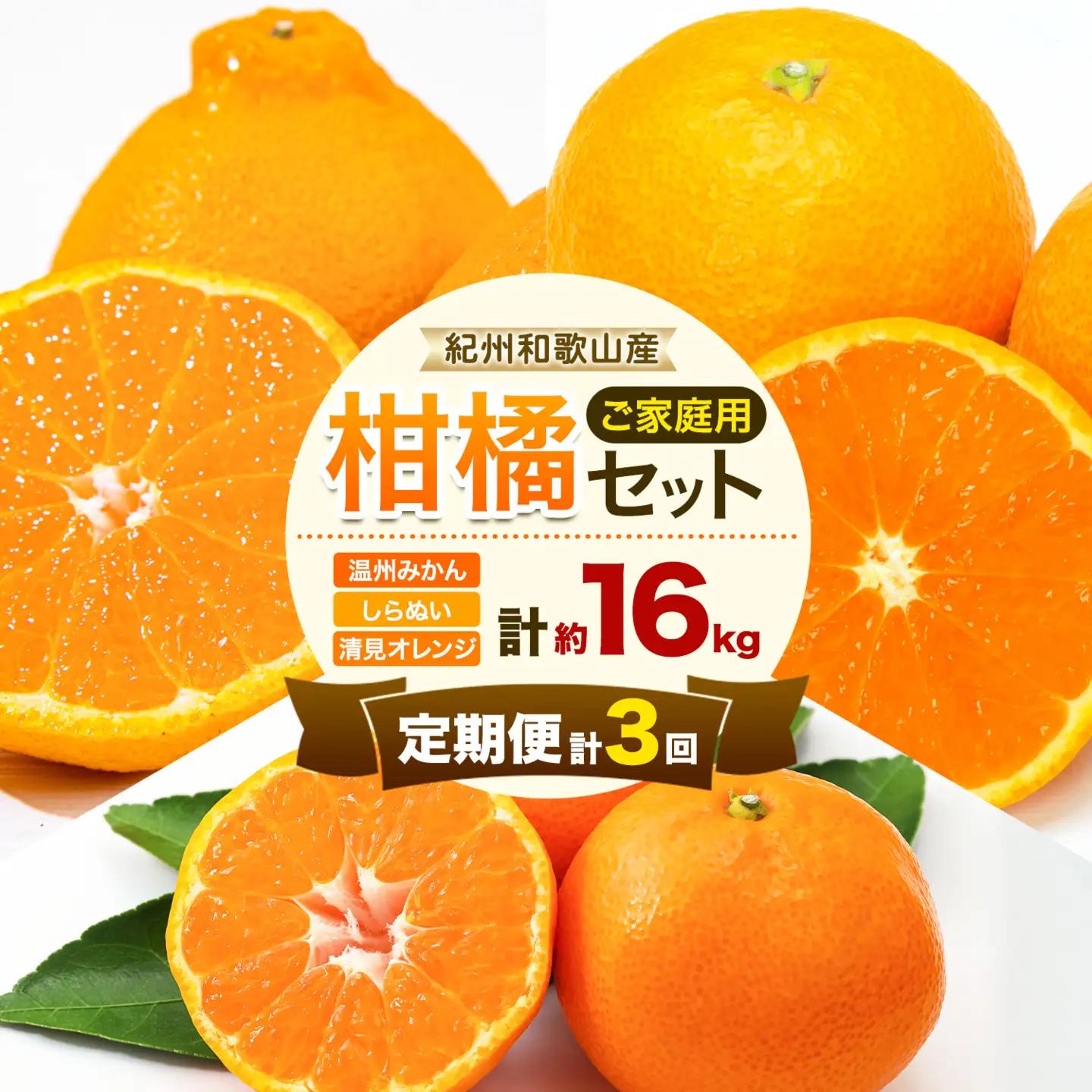 紀州 和歌山産 旬の ご家庭用 柑橘 セット M (みかん 不知火 清見)【全３回】 株式会社魚鶴