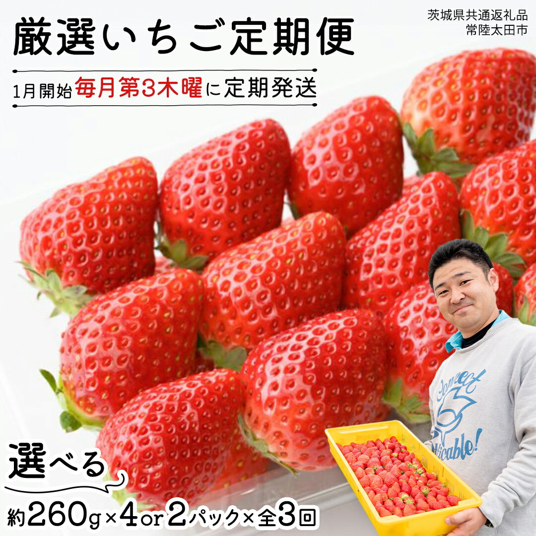 【ふるさと納税】【 先行予約 】 【 定期コース 】 厳選 いちご 選べる 2パック または 4パック 【 毎月 第3木曜に全3回発送 初回発送 2026年1月22日】 ( 茨城県共通返礼品 : 常陸太田市 ) 選べる容量 約260g×2パック または 約260g×4パック