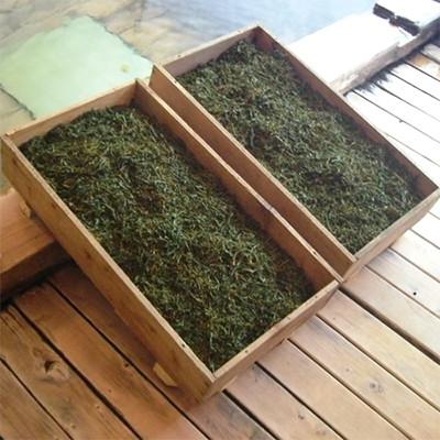 ふるさと納税 高山市 飛騨紅茶　3本セット b506 |  | 03