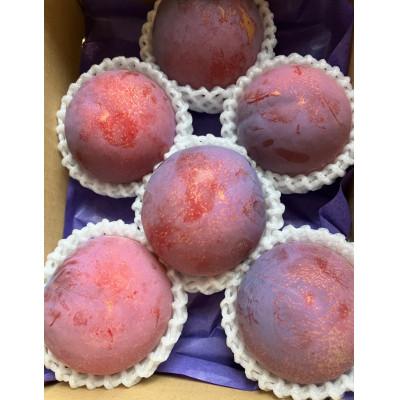 ふるさと納税 南アルプス市 【2026年発送/先行受付】すもも貴陽　デカ玉　約1.5キロ |  | 02