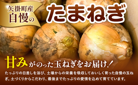矢掛町産 訳あり 玉ねぎ 約2kg 《5月末～7月中旬頃に出荷予定》 約 2kg 野菜 岡山県 矢掛町 たまねぎ 大きさ不揃い 訳ありたまねぎ