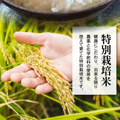 ふるさと納税 米沢市 【先行予約】令和8年産 特別栽培米 つや姫 6kg ( 2kg×3袋 ) |  | 01
