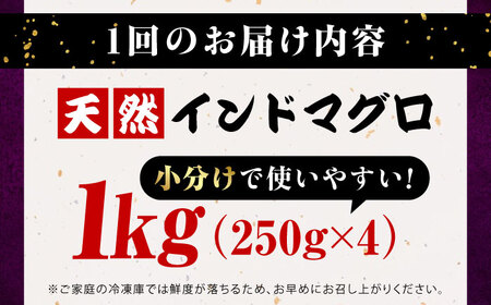 【全6回定期便】天然 まぐろ ねぎとろ 約1kg（約250g×4パック） 鮪 マグロ 魚 ネギトロ 横須賀【横須賀商工会議所 おもてなしギフト事務局（本まぐろ直売所 横須賀本店）】 [AKAK045]