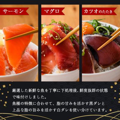 ふるさと納税 門川町 【毎月定期便】海鮮 お魚漬け丼食べ比べセット(門川町)全6回 |  | 02