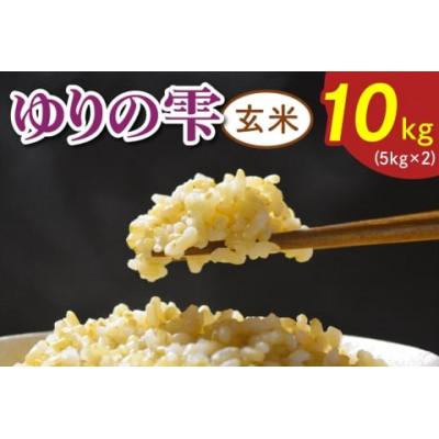 ふるさと納税 袖ケ浦市 令和7年産 ゆりの雫(ふさおとめ)玄米 10kg(5kg×2)