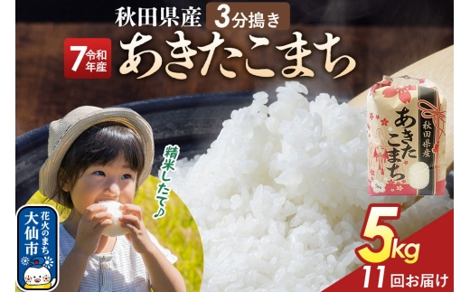 《定期便11ヶ月》【3分搗き】あきたこまち 5kg 秋田県産 令和7年産 こまちライン 秋田県 大仙市産 [秋田 お米 米どころ あきたこまち こまちライン]