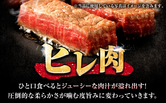 牛肉 肉 黒毛和牛 佐賀牛 和牛 佐賀 牛 A4 国産 料理 焼肉 冷凍 保存 ヒレ ヒレステーキ スピード配送