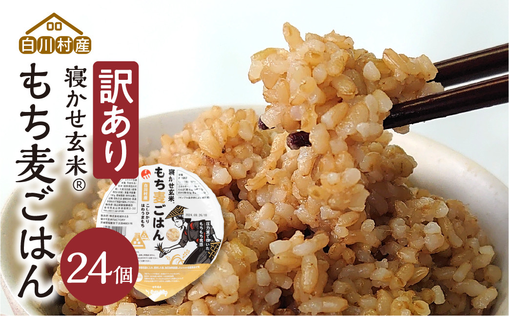 
            訳あり 白川村産 寝かせ玄米もち麦ごはん 24個[S741]年内お届け 年内配送
          