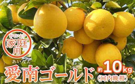 家庭用 先行予約 2026年発送 愛南ゴールド（河内晩柑）約10kg みかん 蜜柑 河内晩柑 グレープフルーツ 柑橘 果物 フルーツ 前田ファーム 愛媛 愛南【発送期間 3月下旬～5月上旬 】(なくなり次第終了)