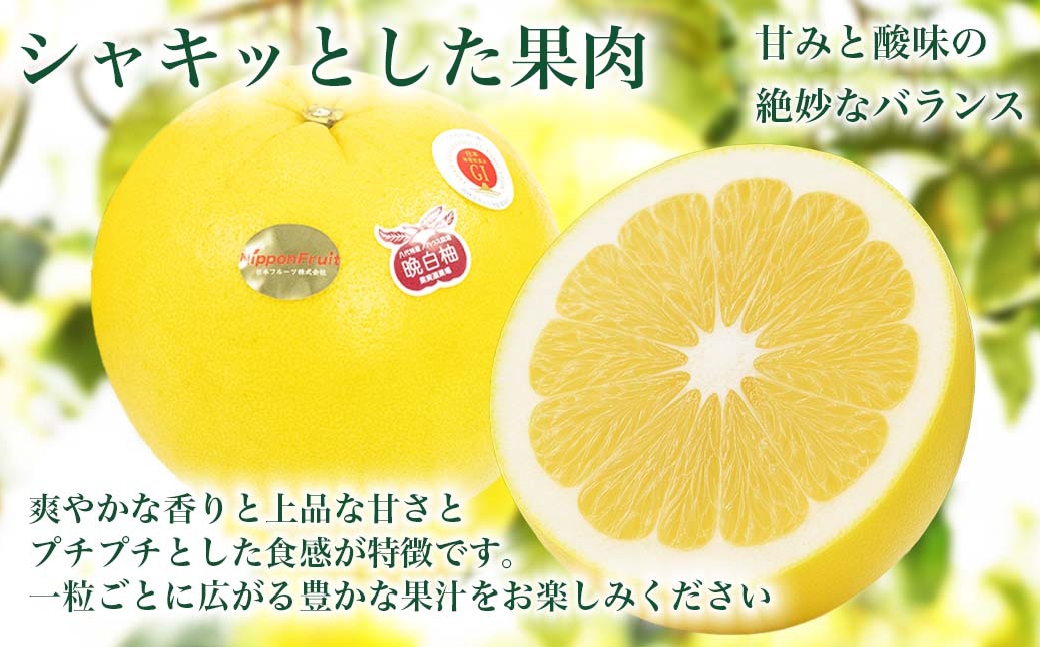 晩白柚2Lサイズ2玉約4kg