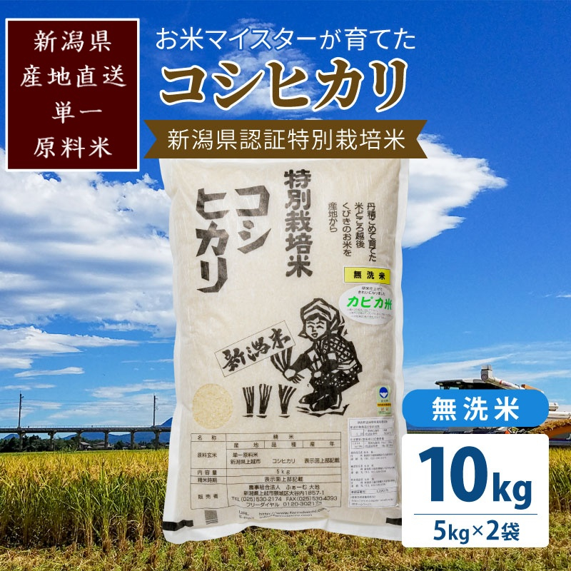 
            米 お米マイスターが育てた特別栽培米 精米コシヒカリ 上越産 令和5年産 10kg(5kgx2袋)無洗米 こしひかり
          