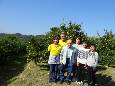 【先行予約】 みかん 麗紅 れいこう 約3kg（15～25玉）　【2027年2月中旬-2027年4月中旬発送】