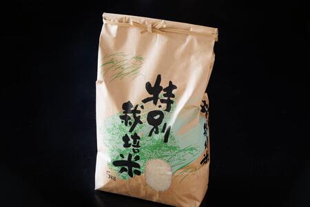 令和8年産 特別栽培米 キヌヒカリ 10kg 精米 白米 減農薬栽培 10キロ 令和8年産