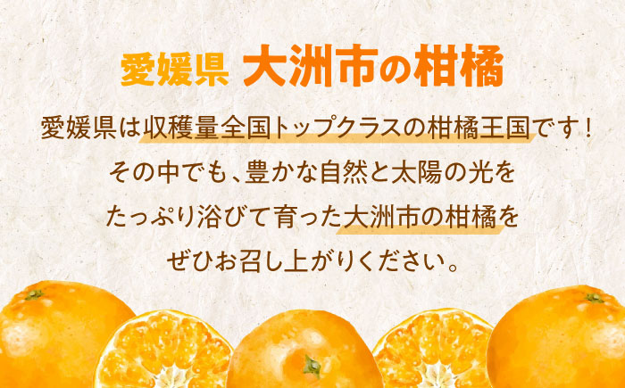 【先行予約】【11月上旬から順次発送】本場ならではの品質！柑橘王国愛媛産 早生 約5kg　愛媛県大洲市/有限会社カーム/カームシトラス [AGBW004]みかん オレンジ フルーツ ミカン 果物 愛媛