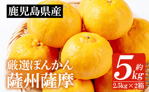 
                  ＜先行予約＞＼数量・期間限定／本格貯蔵 ぽんかん 薩州薩摩 約5kg  糖度12度以上 【00-039-04】
                