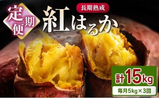 ＜定期便＞3回お届け！長期熟成 紅はるか 計15kg（5kg×3回）宮崎県都城市産 さつまいも サツマイモ 計15kg【毎月5kg×3回定期便】