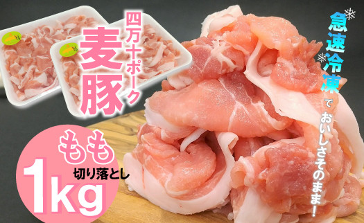 
平野協同畜産の「麦豚」 豚もも切り落とし　1㎏　四万十ポーク Ahc-A06 国産 ぶた肉 豚肉 肉 お肉 もも 国産豚肉 国産ぶた肉 冷凍
