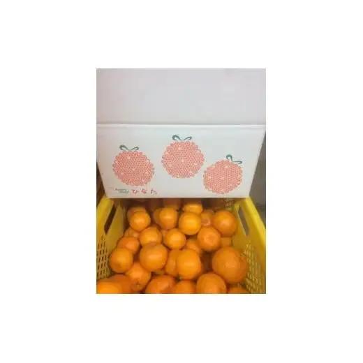 【 野菜 】 野菜8回定期便