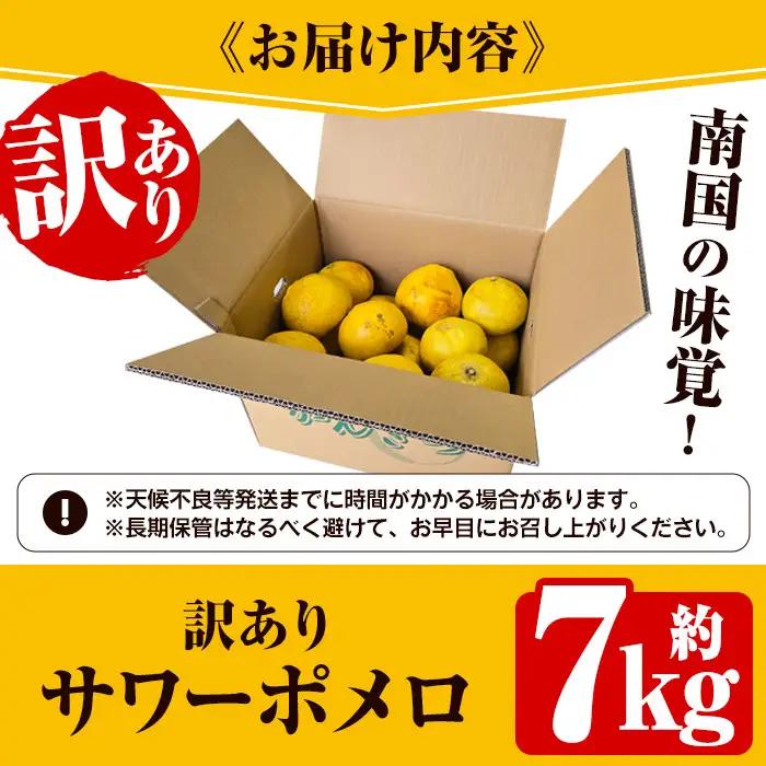 ＜先行予約受付中！2027年2月下旬以降順次発送予定＞＜訳あり・傷あり＞数量限定！サワーポメロ(約7kg) 国産 フルーツ 果物 柑橘類 サワーポメロ 甘味 酸味 デザート おやつ 訳あり【なかむら果