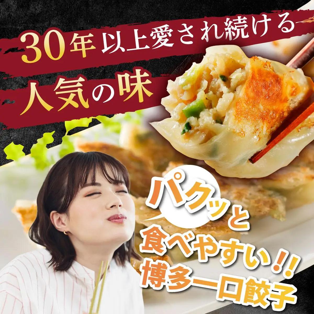  冷凍 博多一口餃子 25個入り×10パック
