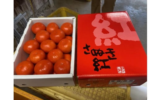 【6月中旬頃～発送】温室栽培 小原紅早生みかん(小玉) 約2kg 化粧箱入り