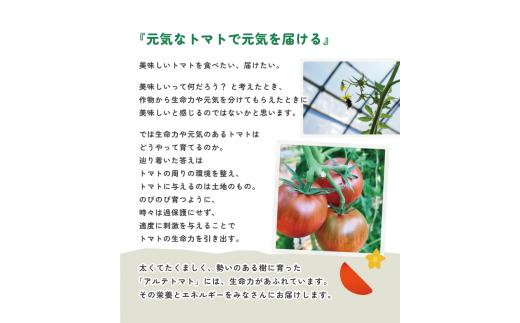 【定期便3回】＜アルテトマト 約800g（10‐16玉）×3箱＞計約2.4kg フルーツトマト 栽培期間中化学農薬・化学肥料不使用 高知県 トマトハウスナカムラ 【常温】 牧野富太郎博士の好物 佐川町