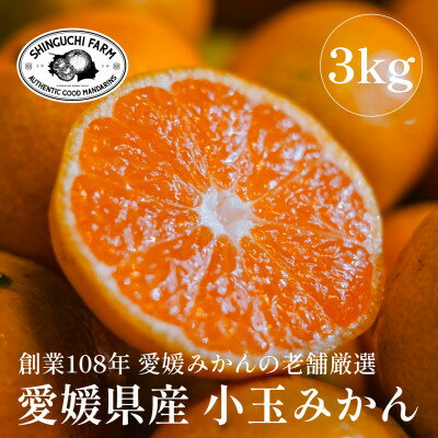【ふるさと納税】【創業108年】愛媛みかんの老舗厳選【小玉 みかん3kg】【C70-73】【1620185】