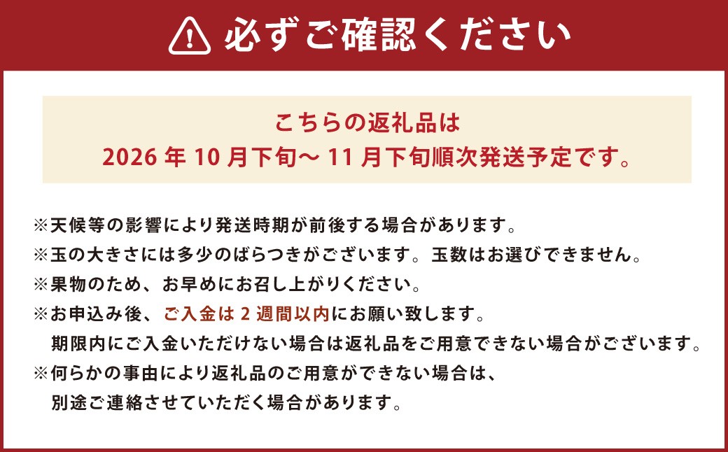 福岡県産ブランド柿・秋王 約3kg （8-12玉） 柿 カキ かき くだもの