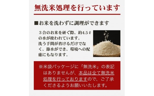 【令和8年産 先行予約】 新之助 無洗米 新潟県 上越産 20kg (5kg×4) 12か月 定期便 しんのすけ 五つ星お米マイスターのいるお店 お米 精米 米 ご飯 大黒屋商店