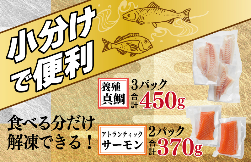 【南予ビージョイ】サーモン＆国産活〆 真鯛  お刺身セット【小分け 訳あり サイズ不揃い 刺身 海鮮丼 人気 オススメ 冷凍】 G1715