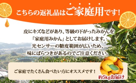 山北みかん5kg(家庭用・露地) - 果物 フルーツ 期間限定 温州みかん ミカン 柑橘 おいしい 甘い 送料無料 高知県 香南市 常温 ｜みかんみかんみかんみかんみかんみかんみかんみかんみかんみかん