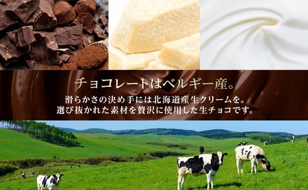 生チョコ チョコ チョコレート カカオ ベルギー産チョコ スイーツ 有名 ホームメイド湘南ショコラ ケーキ 蜂蜜 マーガリン バター 湘南 冷凍 くちどけ 濃厚贈り物 団らん みづほ野 神奈川県 平塚