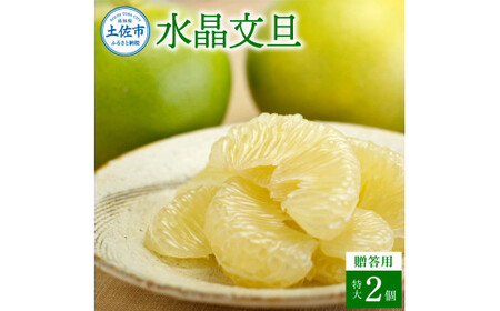 【先行予約】水晶文旦 特選ご贈答用 特大サイズ 約1.5kg（2個入） 高知県土佐市 【株式会社SHIRAKI】 [BQAI020]