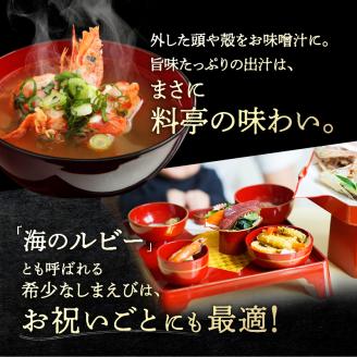 北海しまえび(大)　300g×2箱セット(1箱あたり13尾前後)_H0001-007