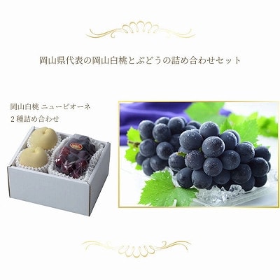 【先行受付】岡山県産　岡山白桃エースLサイズ200g×2玉・ニューピオーネ400g×1房　詰合せ【配送不可地域：離島・北海道・沖縄県】