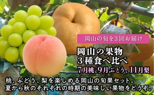【定期便】岡山の果物　3種食べ比べ（7月桃・9月ぶどう・11月梨）【2026年度発送】