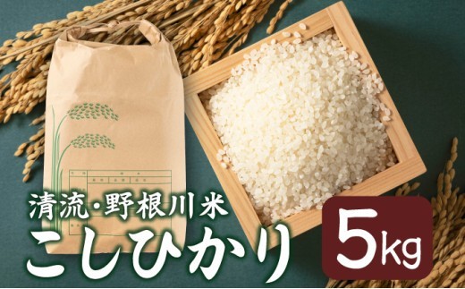 
                  MZ002　【先行予約】 令和8年産 野根川米5kg こしひかり 米 国産 コメ
                