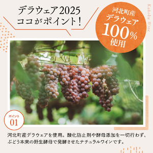 【河北町産ぶどう100％使用・微発泡デラウェアワイン】Delaware 2024（750ml×1本）【かほくらし社】