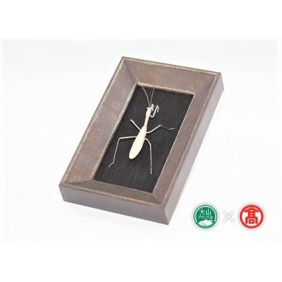 ふるさと納税 江府町 tree frog銀の虫オブジェ カマキリ 額装 / metal insect series 1 |  | 01
