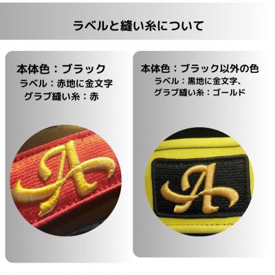 ふるさと納税 三宅町 硬式 外野手 用 野球 グローブ グラブ カラー オーダー【アサダスポーツ】 |  | 02