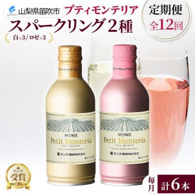 ふるさと納税 笛吹市 【毎月定期便】プティモンテリアスパークリング2種 290ml 6本 モンデ酒造 山梨県笛吹市全12回