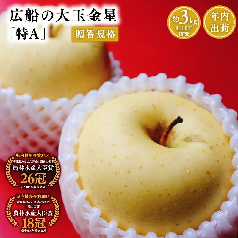 りんご 贈答用 金星 約3kg  12月発送 青森県平川市産[hi-0004-004]