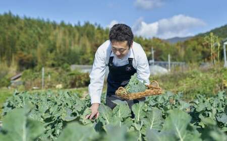 【パッケージ入替のため特別寄附額】 グルテンフリー米粉スナック 『 ポリフリー 』 6種×10袋セット 訳あり