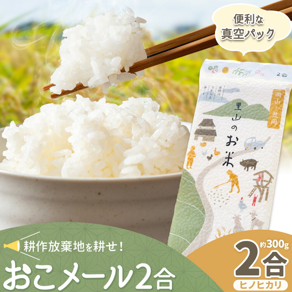 【ふるさと納税】米 ヒノヒカリ 耕作放棄地を耕せ！ おこメール2合 真空パック 2合 約300g ヒノヒカリ Life3091《30日以内に出荷予定(土日祝を除く)》岡山県 笠岡市 お米 米 ひのひかり ヒノヒカリ 真空 保存食 非常食 里山のお米 送料無料