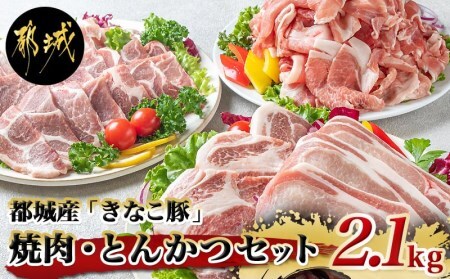 「きなこ豚」焼肉・とんかつセット 計2.1kg_MJ-1204-2402_(都城市) ブランド豚 豚カツ用 トンカツ用(ロース / 肩ロース) 焼き肉用 (豚バラ / 豚肩ロース) 切り落とし 小間切れ